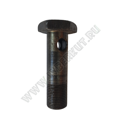 Болт 50-4607031 штуцер М20*70*1,5